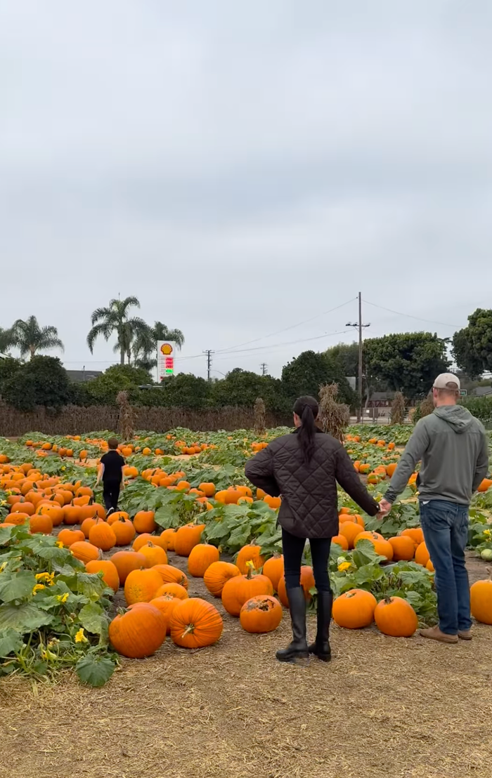 Prince Harry, Meghan Markle, Prince Archie