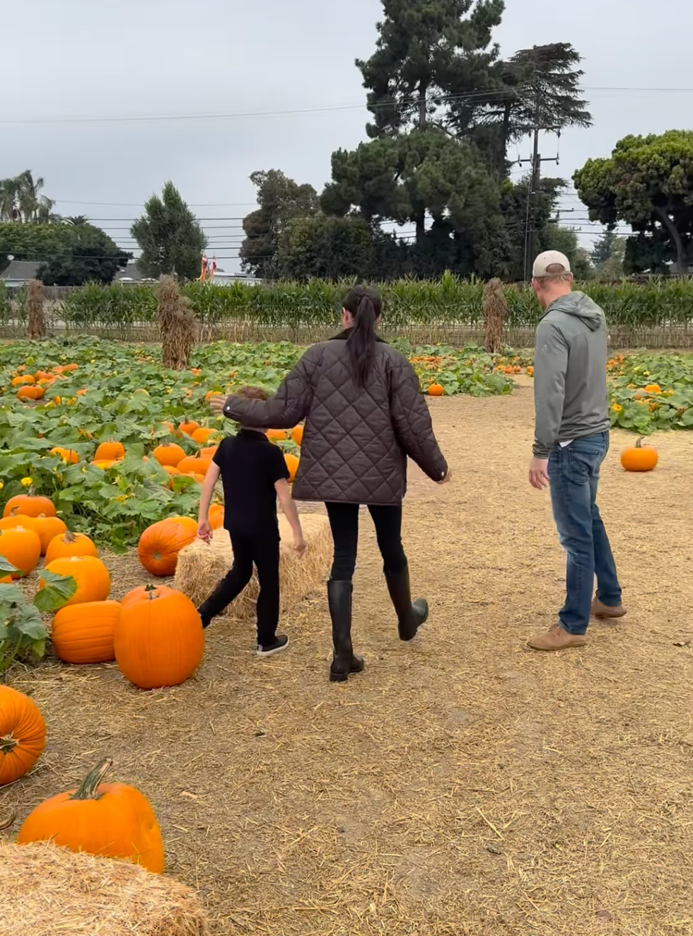Meghan steps out in outfit worth £1,200 for trip to pumpkin patch with  Prince Harry, Archie and Lilibet
