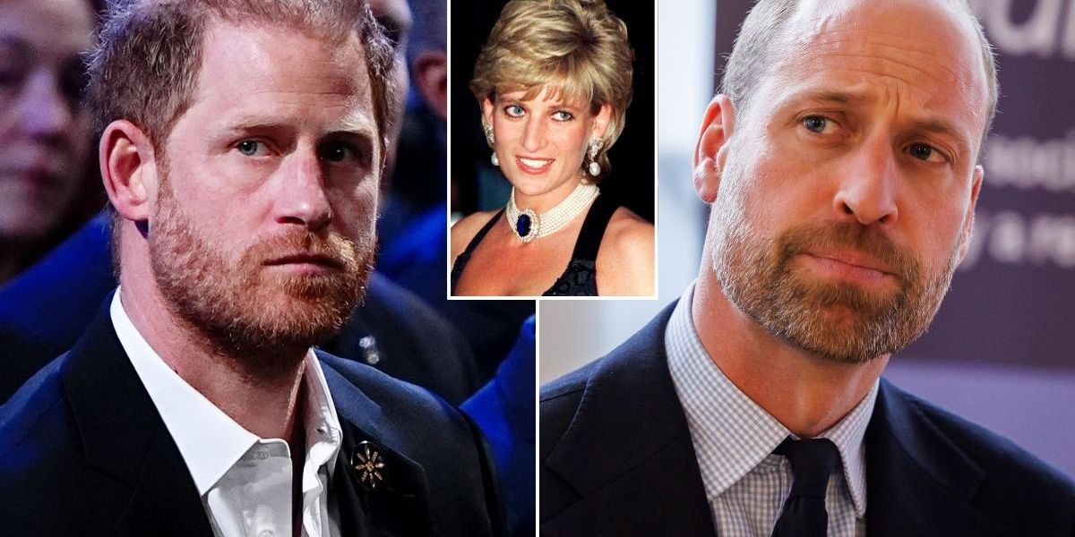 Prince Harry and Prince William left ‘important warnings’ by Princess Diana