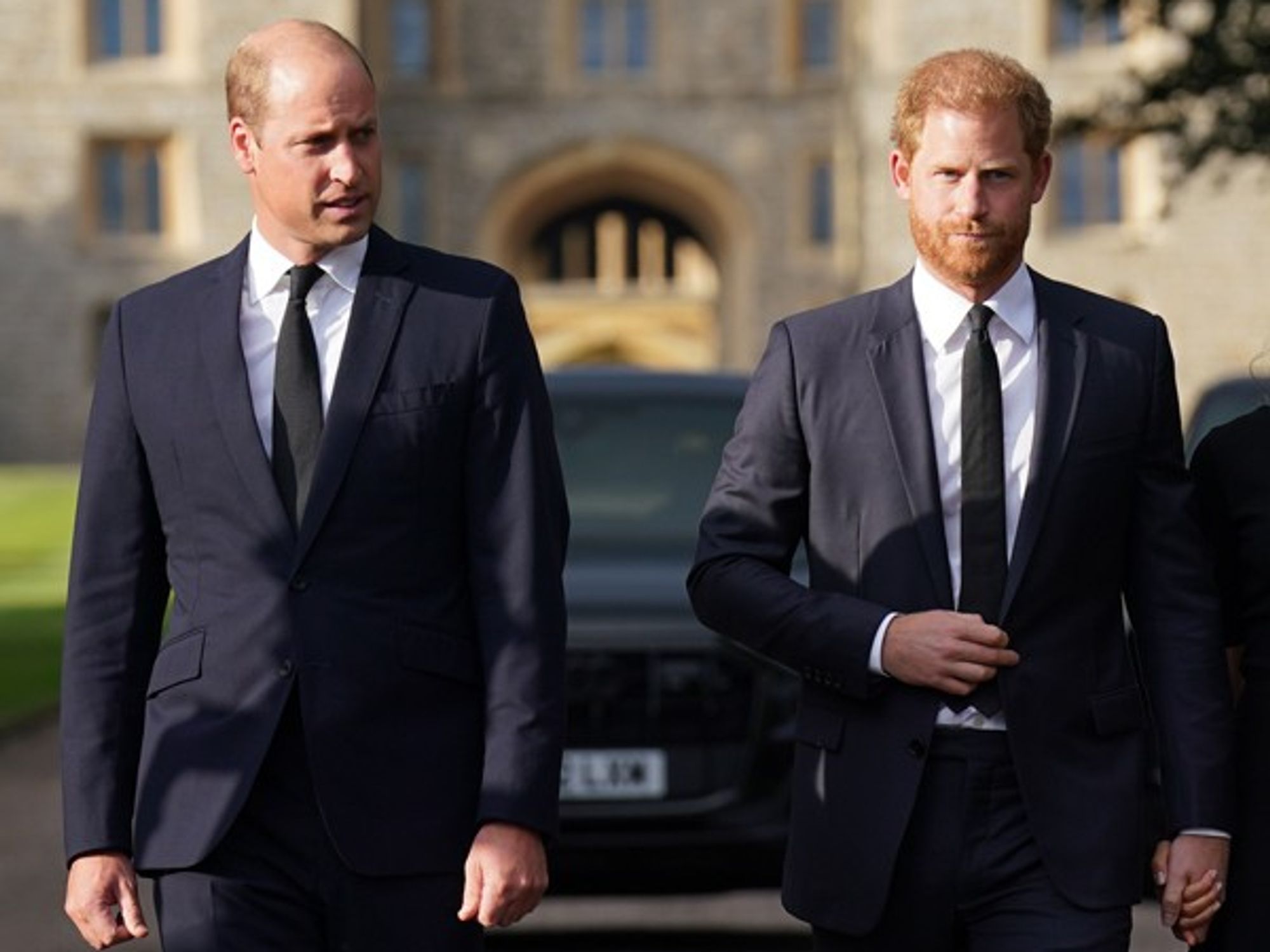 Prince Harry, Prince William