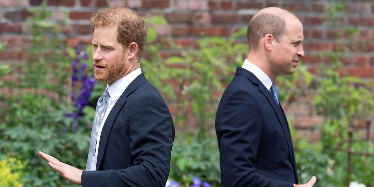 Prince Harry and Prince William tipped to reunite in the ‘not-too-distant future’ by duke’s close confidant Prince Harry and Prince William tipped to reunite in the ‘not-too-distant future’ by duke’s close confidant