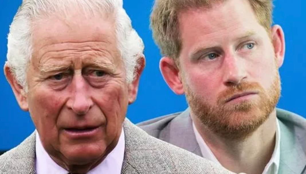 Prince Harry said he held doubts about Prince Charles' relationship with Camilla.
