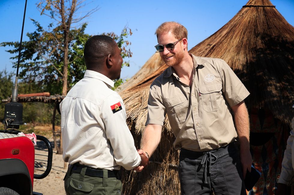 Prince Harry