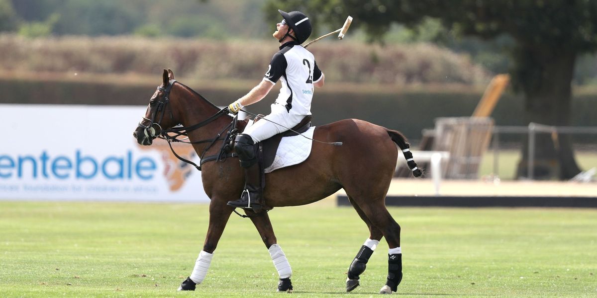 Polo club used by Prince William and Harry under scrutiny over environmental issue Polo club used by Prince William and Harry under scrutiny over environmental issue