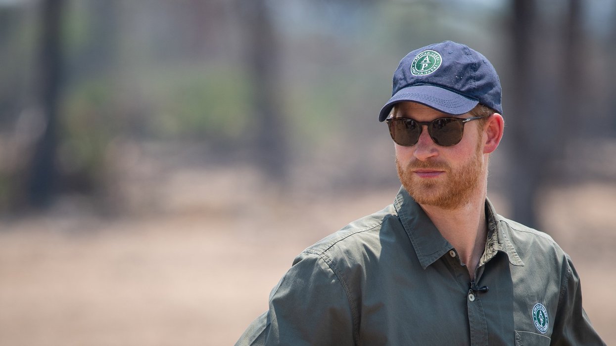 Prince Harry