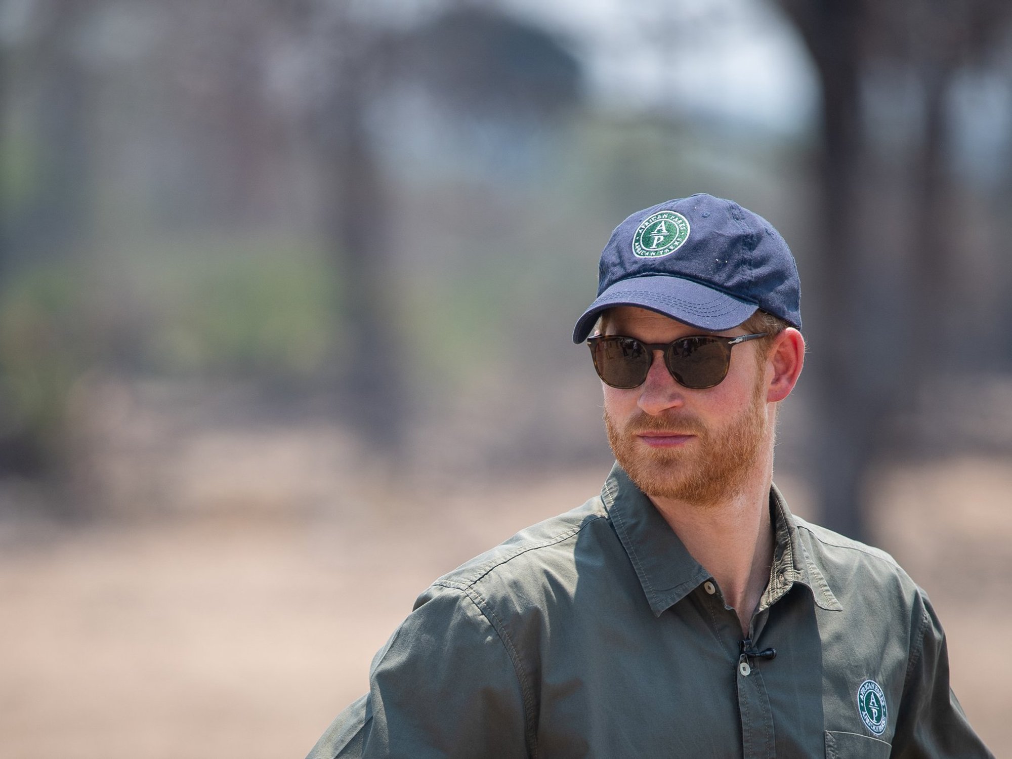 Prince Harry