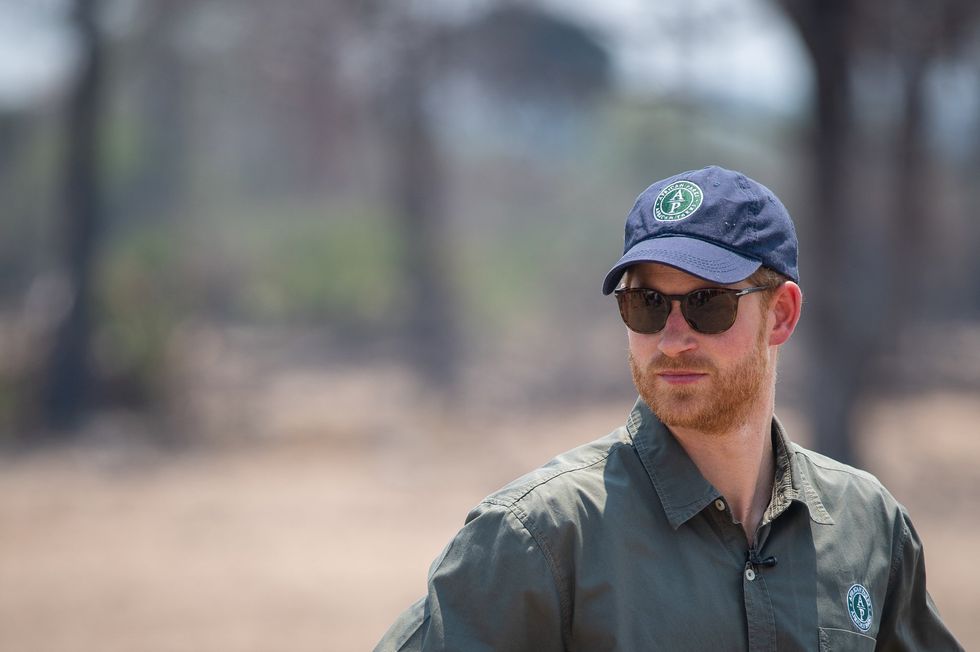 Prince Harry