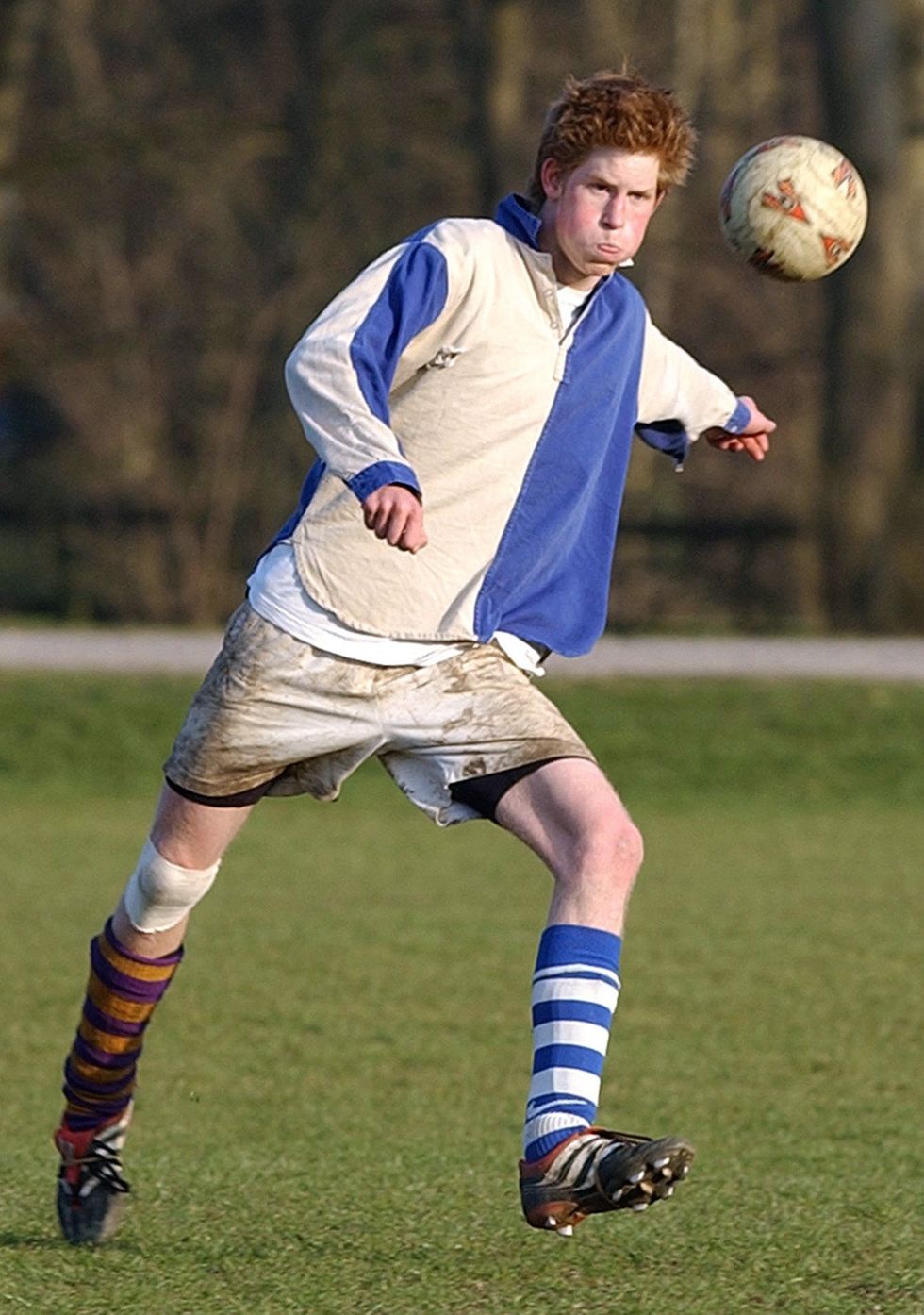Prince Harry