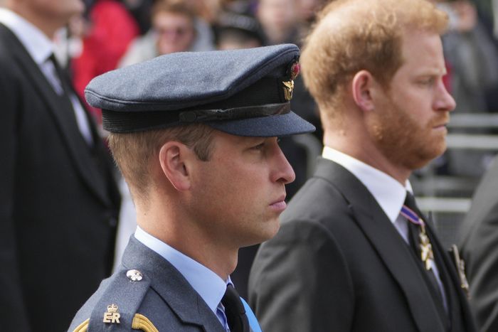 Prince Wiliam, Prince Harry