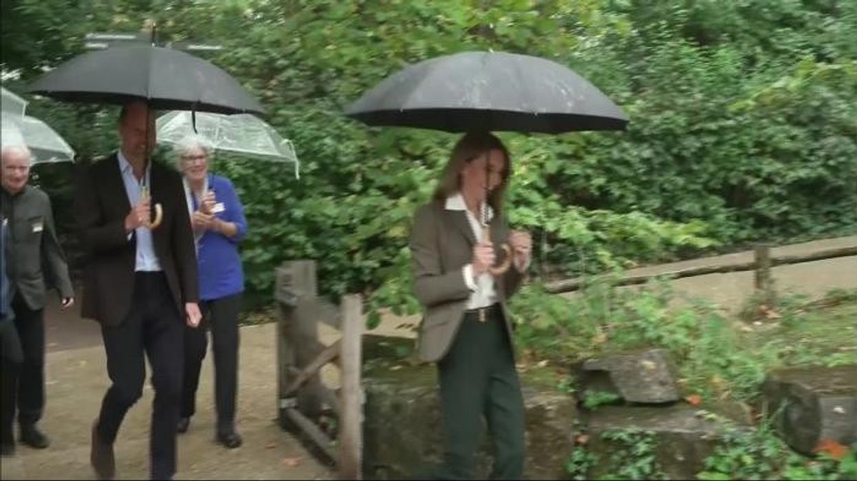 Prince William 'gets drunk' with TV star during surprise cameo in new series