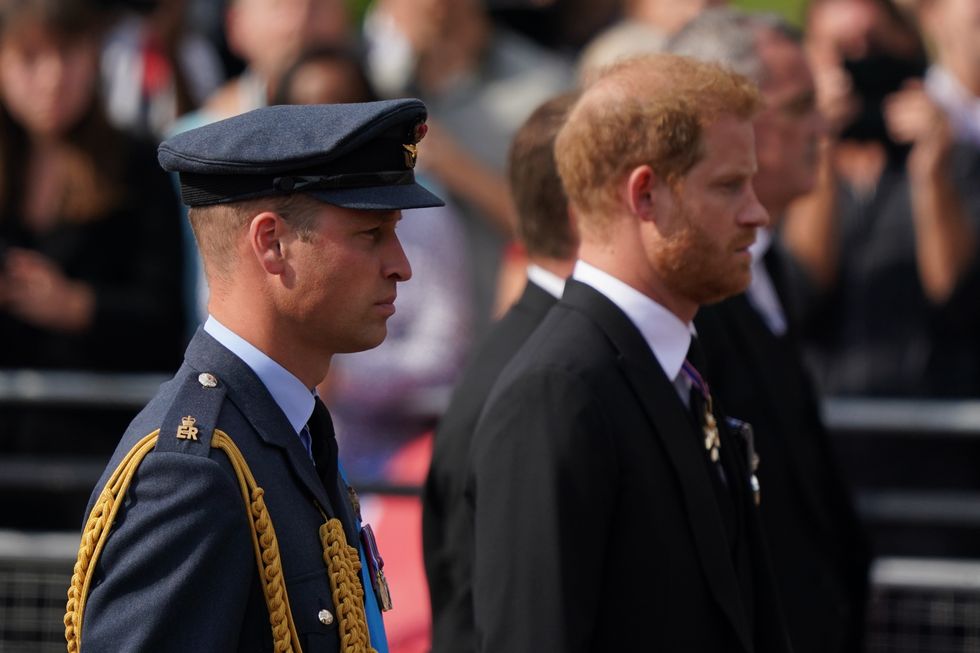 Prince William and Prince Harry