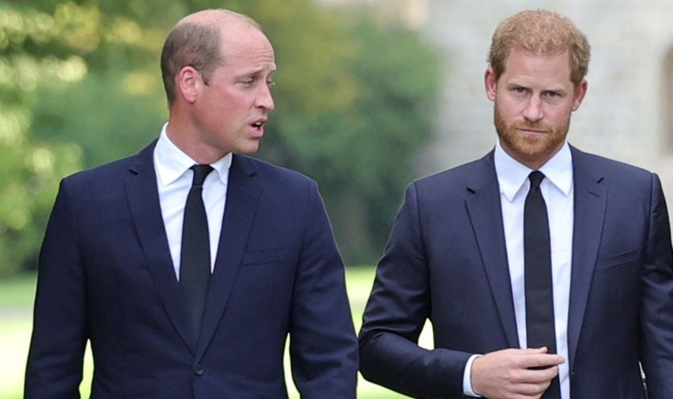 Prince William and Prince Harry