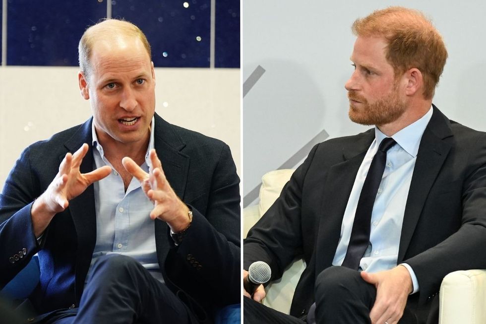 Prince William and Prince Harry