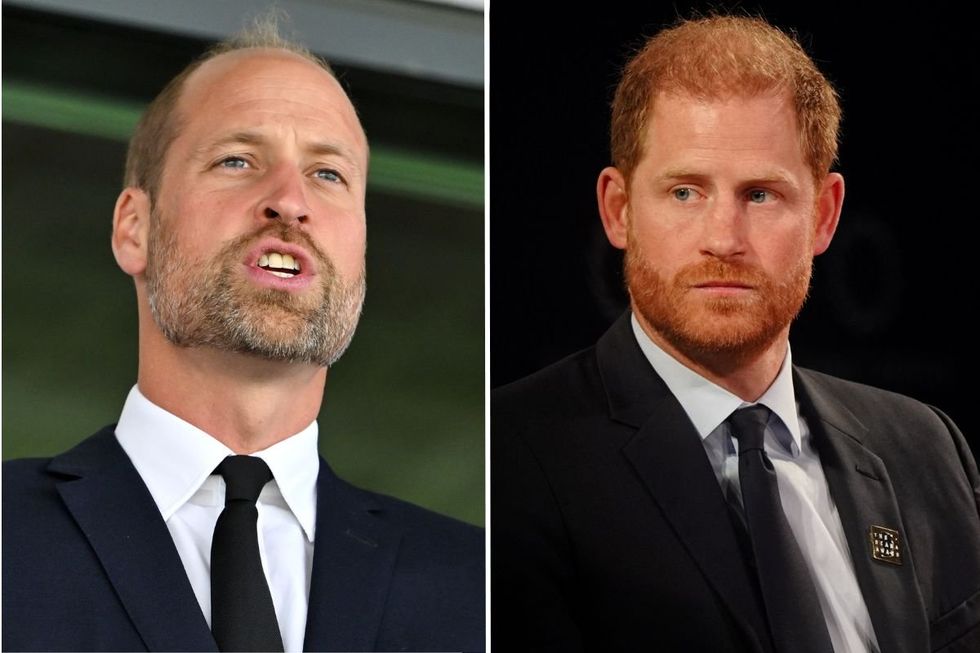 Prince William and Prince Harry