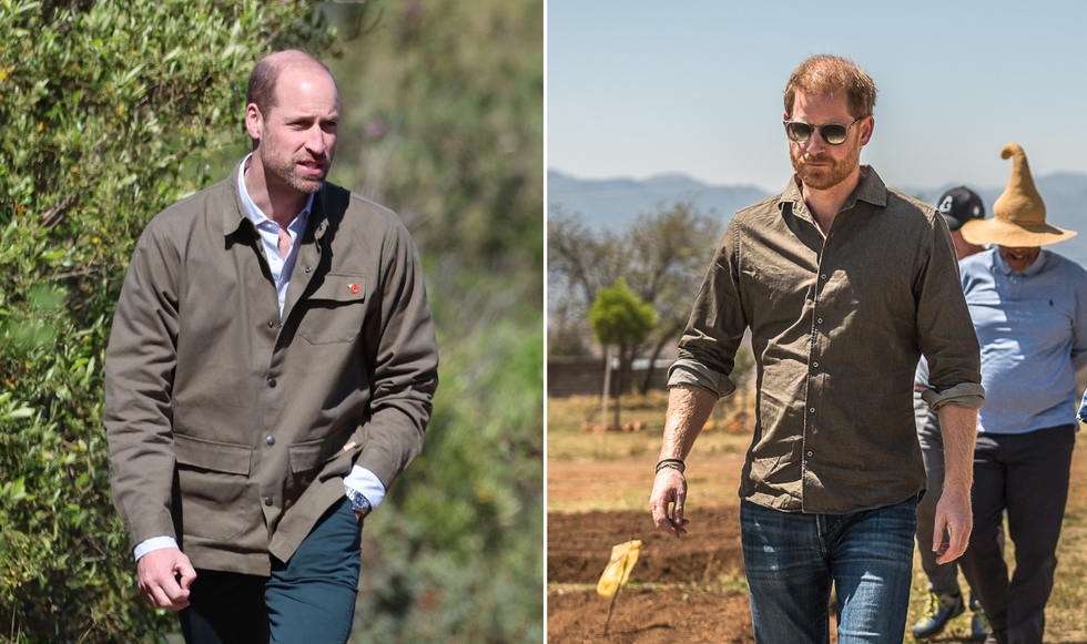 Prince William and Prince Harry