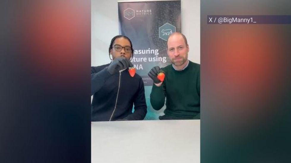 Scientists have found this never-before-seen animal living in the United States in major discovery