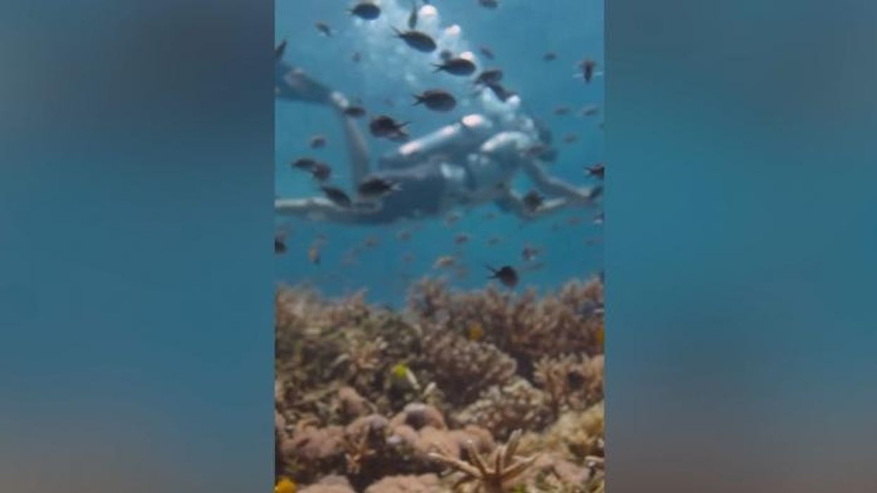 Prince William releases final episode of his series as royal bids to reach major milestone