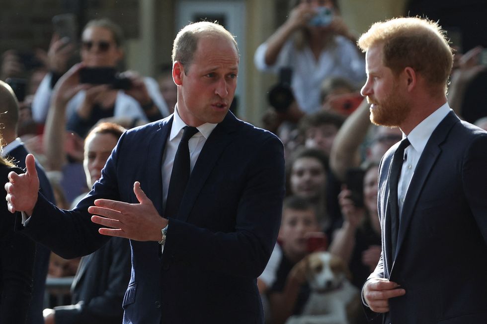 Prince William is more popular than Prince Harry with Britons according to the latest polling