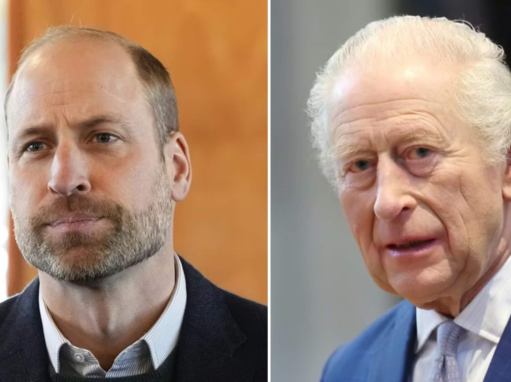 Prince William, King Charles