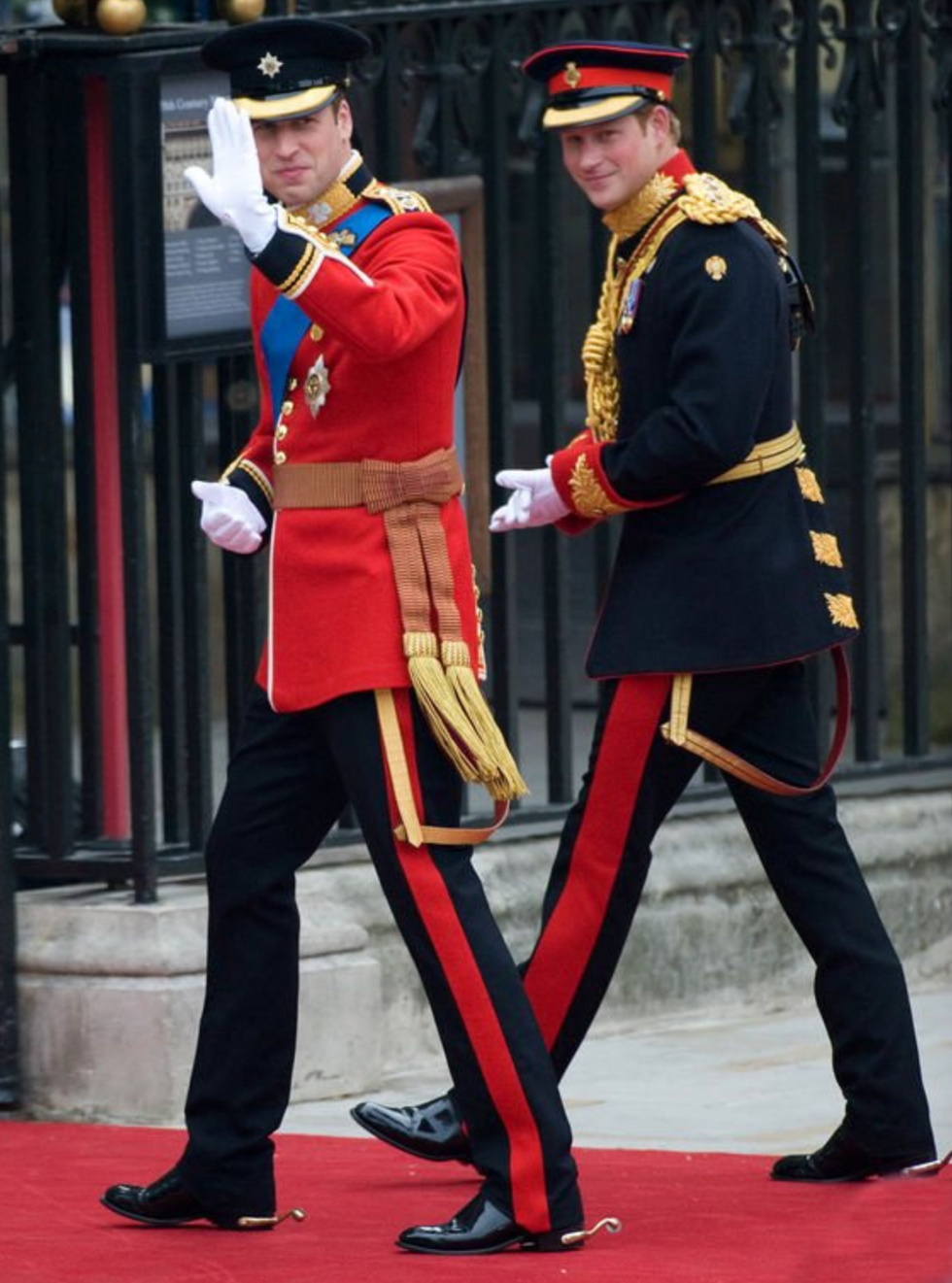 Prince William pledge liege King