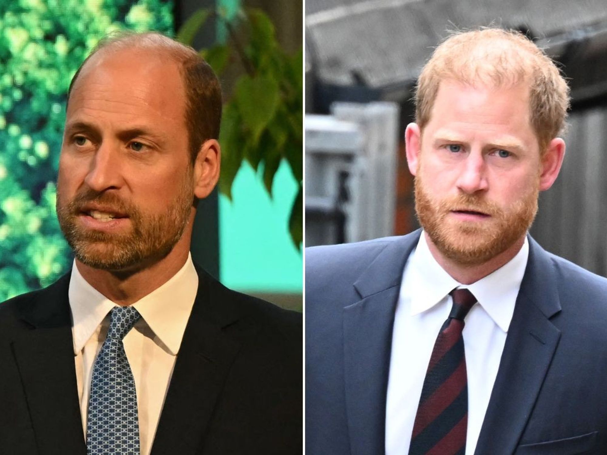 Prince William, Prince Harry