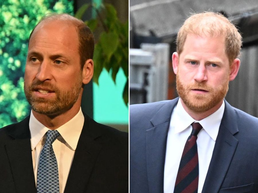Prince William, Prince Harry