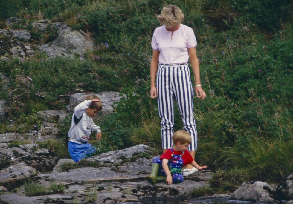 Prince William, Princess Diana and Prince Harry