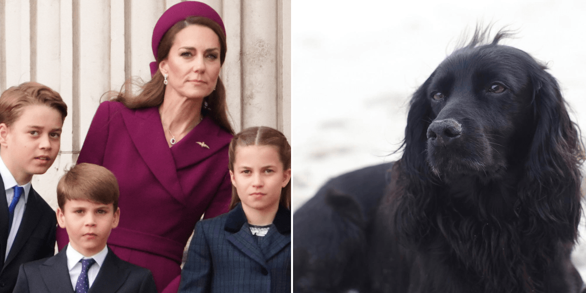 Prince William reveals Kate Middleton, Prince George, Princess Charlotte and Prince Louis were all present when their dog died Prince William reveals Kate Middleton, Prince George, Princess Charlotte and Prince Louis were all present when their dog died