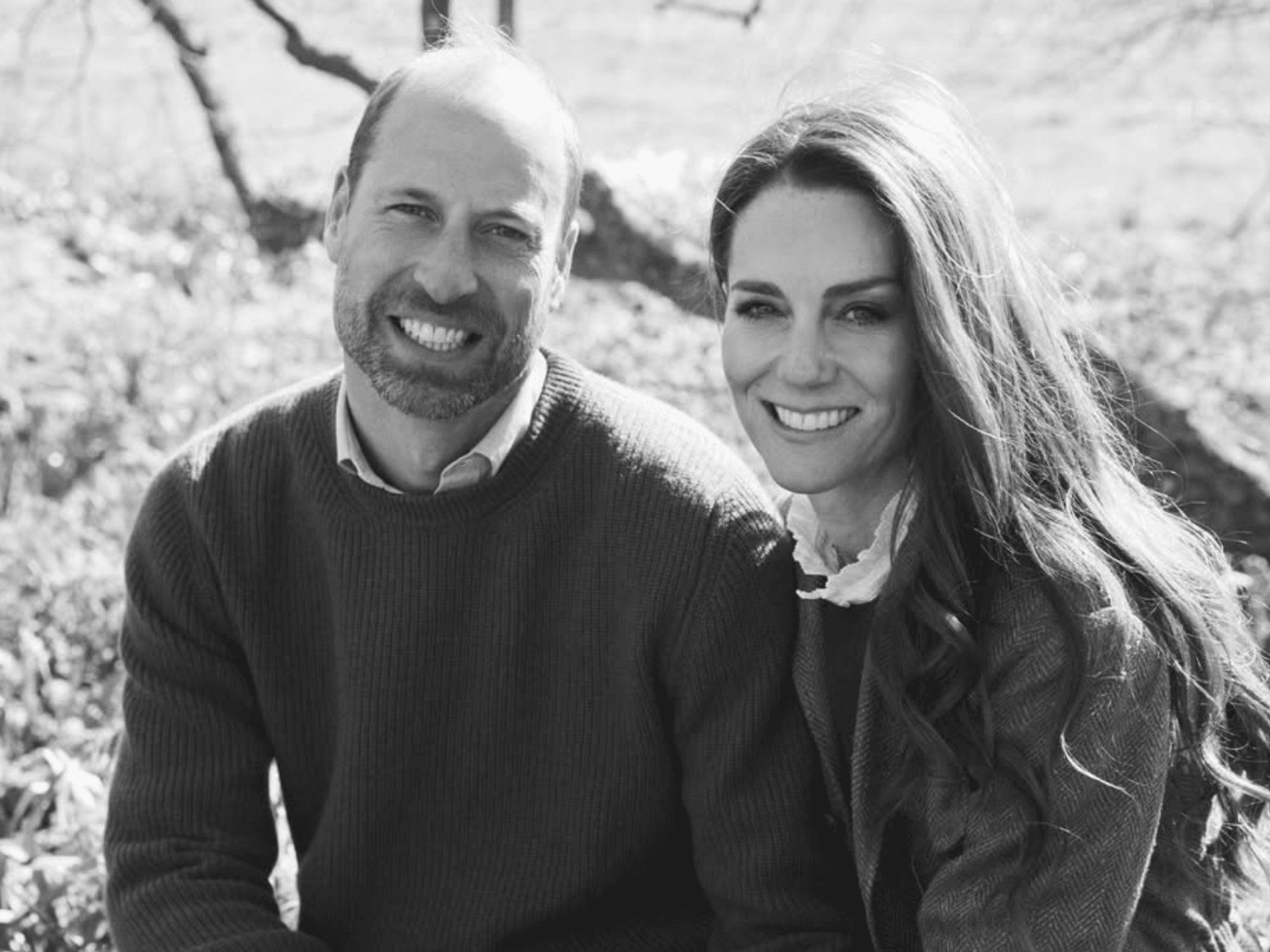 Prince William, Princess of Wales