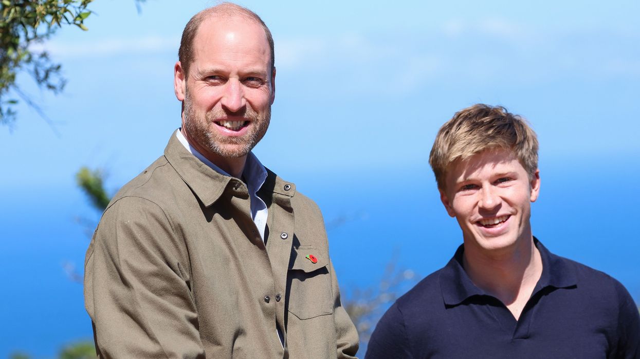 Prince William, Robert Irwin