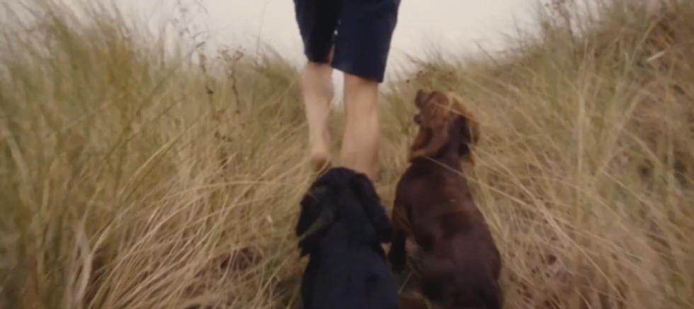 Prince William with two dog's