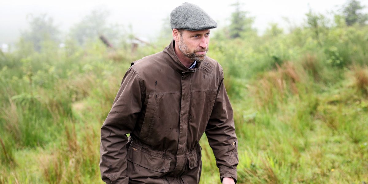 Prince William’s estate hit by vandalism as willows poisoned in ‘outrageous act of sabotage’ Prince William’s estate hit by vandalism as willows poisoned in ‘outrageous act of sabotage’