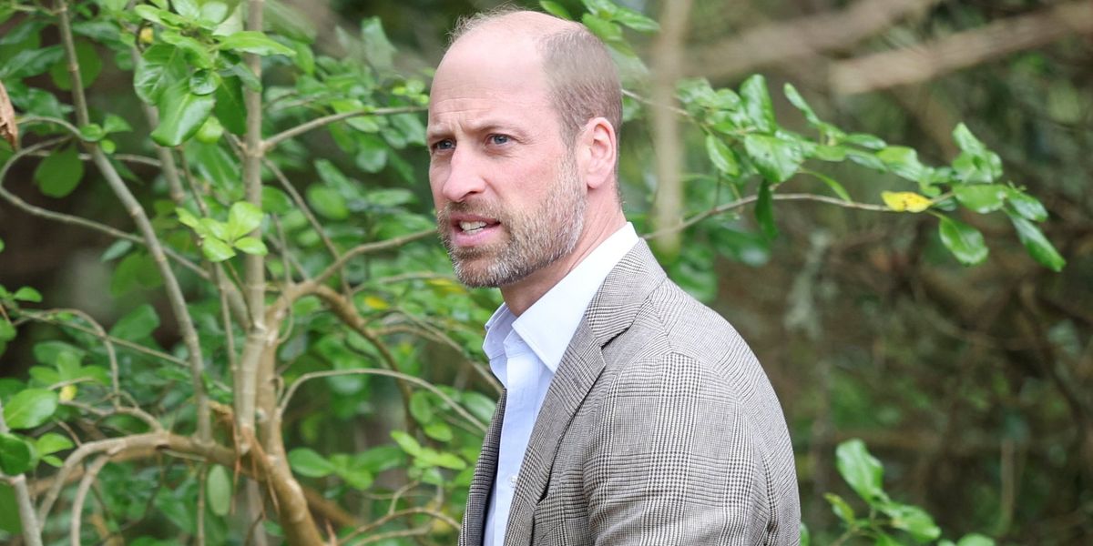 Young Britons split on monarchy despite Prince William being ‘open to change’ Young Britons split on monarchy despite Prince William being ‘open to change’