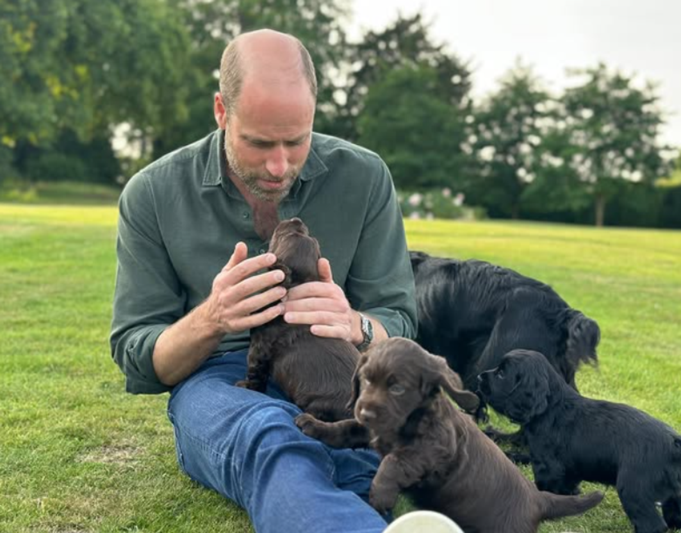 Prince William