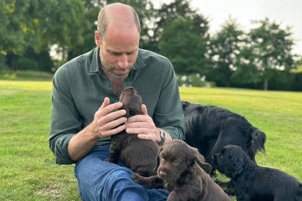 Prince William