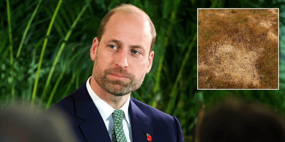 ‘Outrageous act of sabotage’ leaves activists in horror as Prince William’s trees deliberately poisoned ‘Outrageous act of sabotage’ leaves activists in horror as Prince William’s trees deliberately poisoned