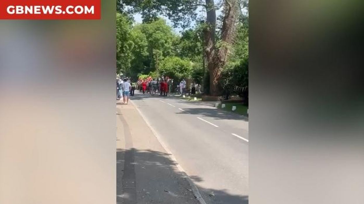 Princess Anne's carriage breaks down forcing delay of King's Ascot procession