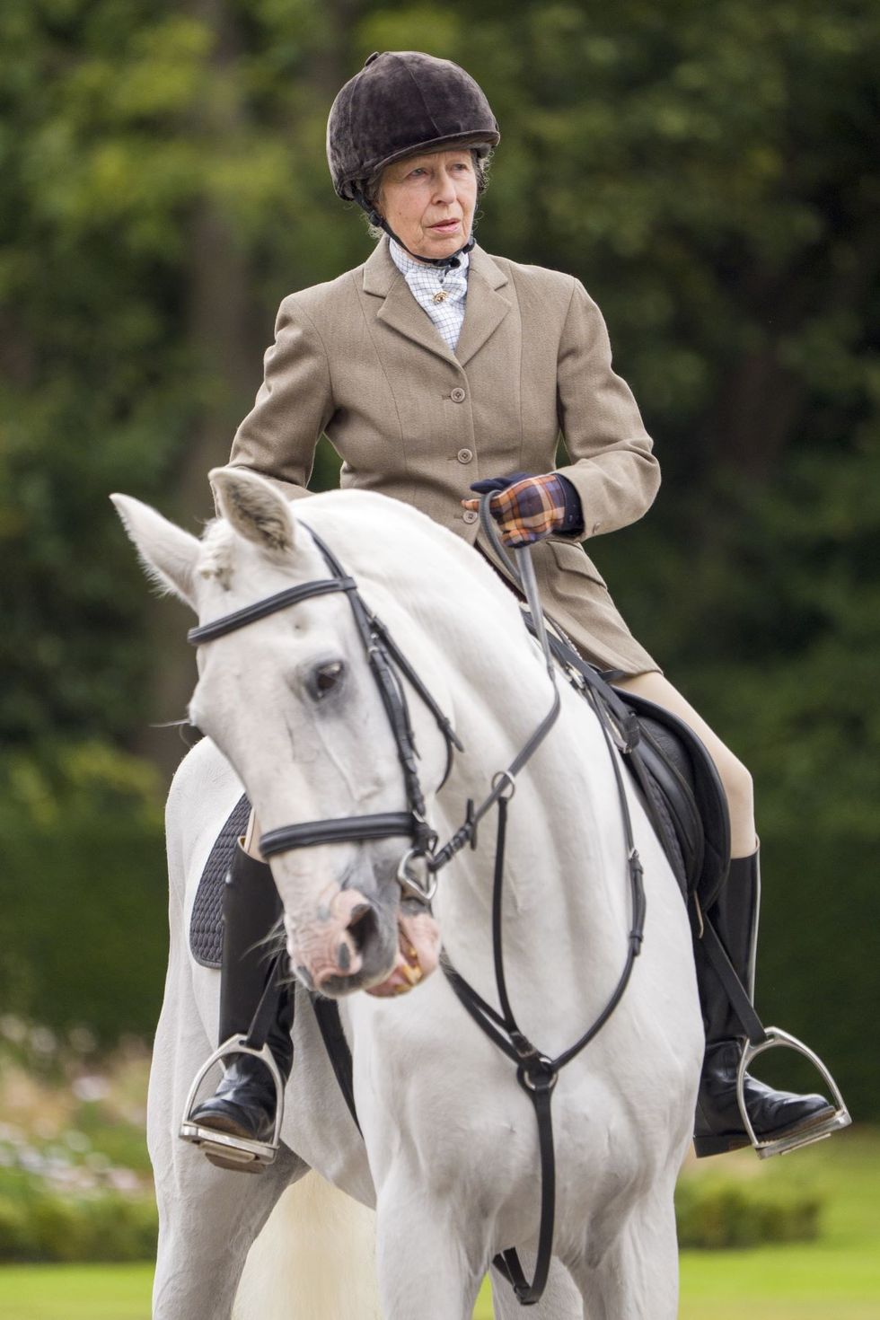 Princess Anne
