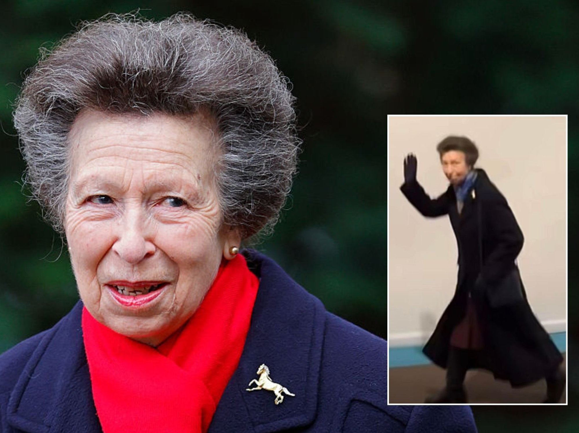 Princess Anne