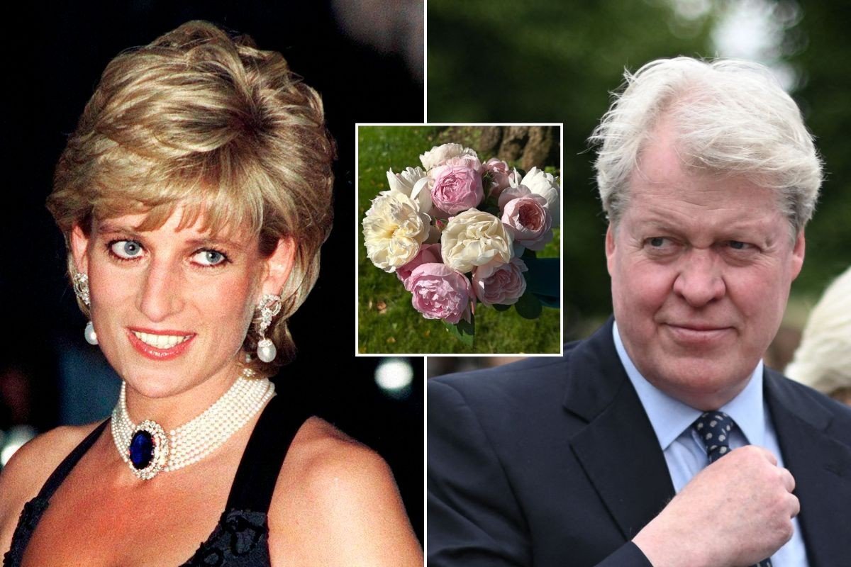 Princess Diana, Earl Charles Spencer