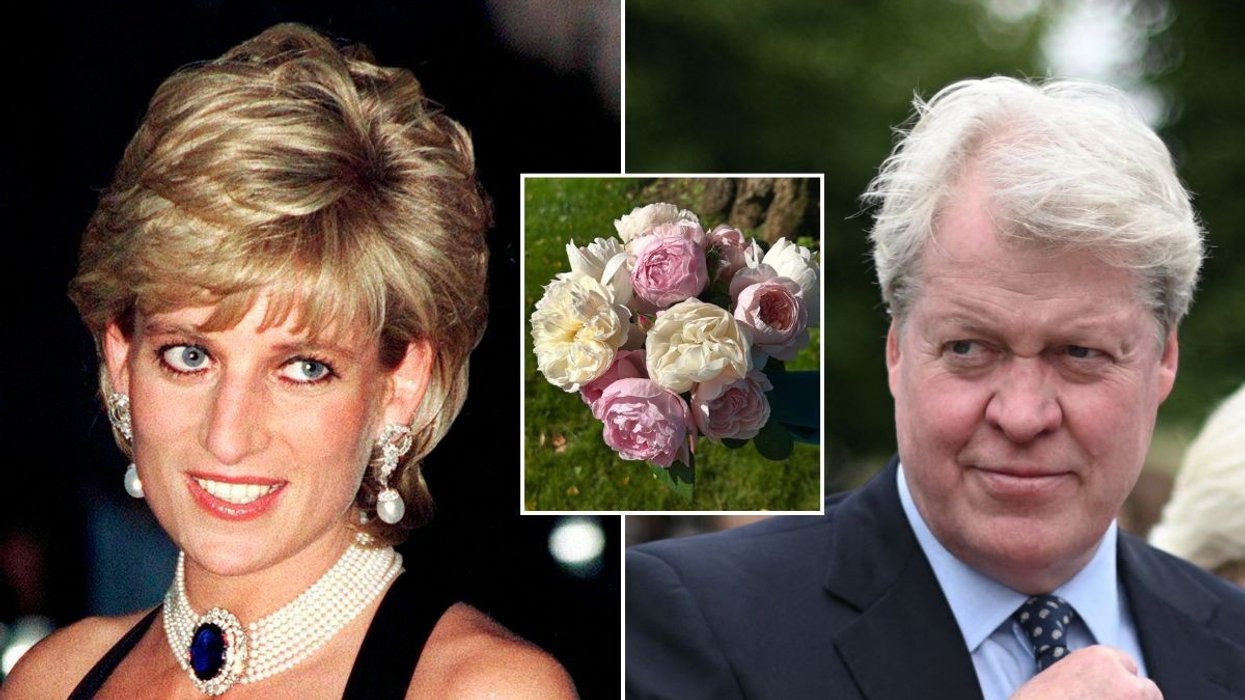 Princess Diana, Earl Charles Spencer