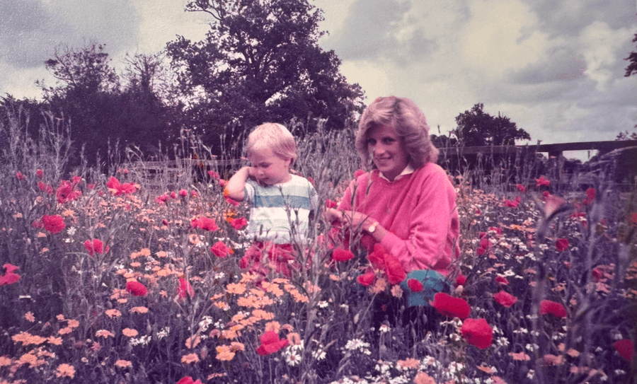 Princess Diana, Prince William