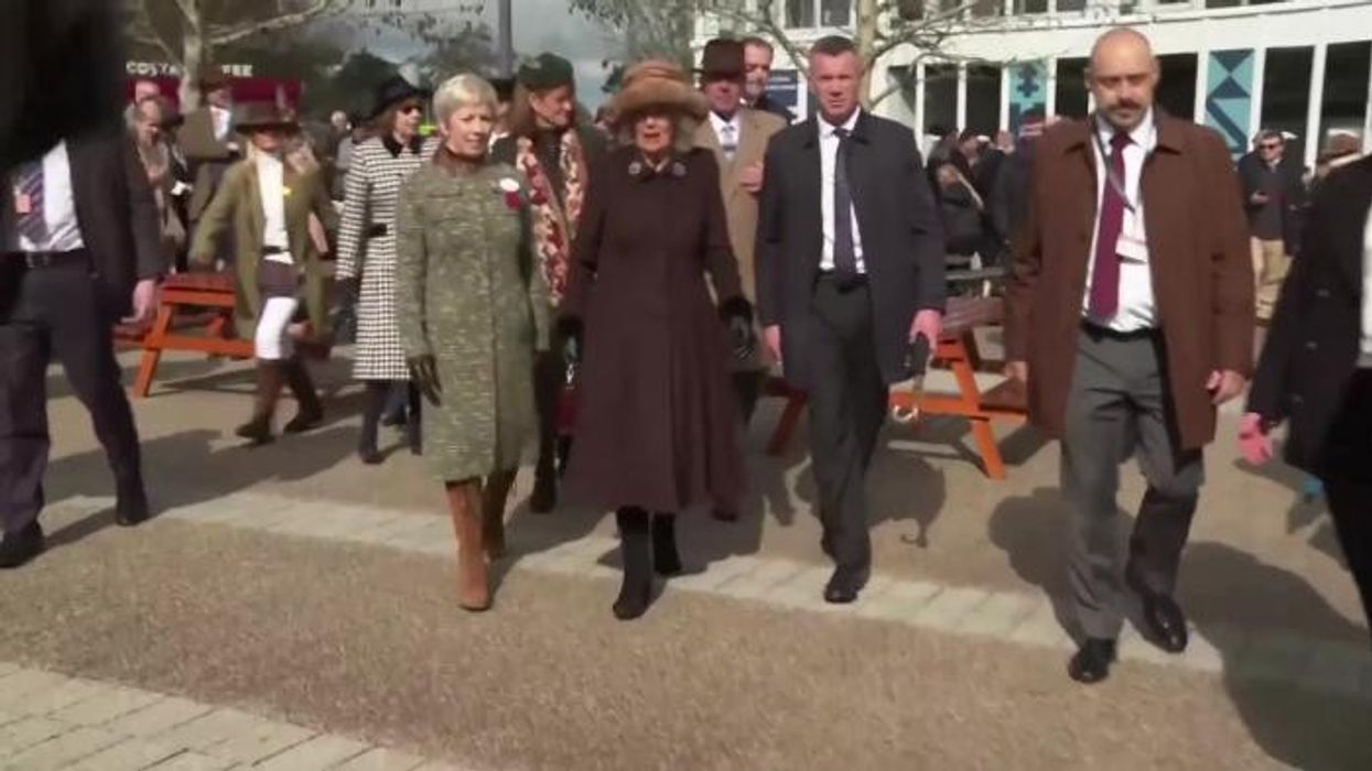 Zara Tindall rubs shoulders with Princess Eugenie and Beatrice during international trip with Mike