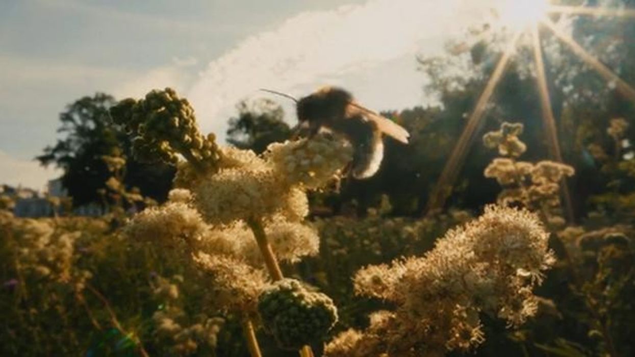 See inside Forest Lodge: Princess Kate and Prince William’s new £16million home