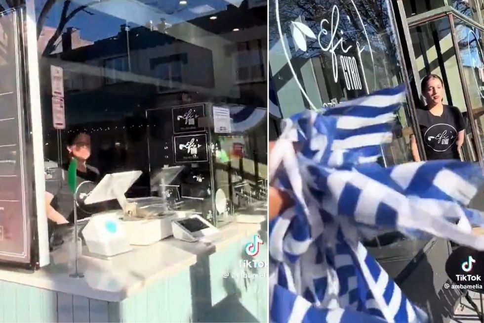 Pro-Palestine activist mistakenly rips down Greek flag in Israel mix-up