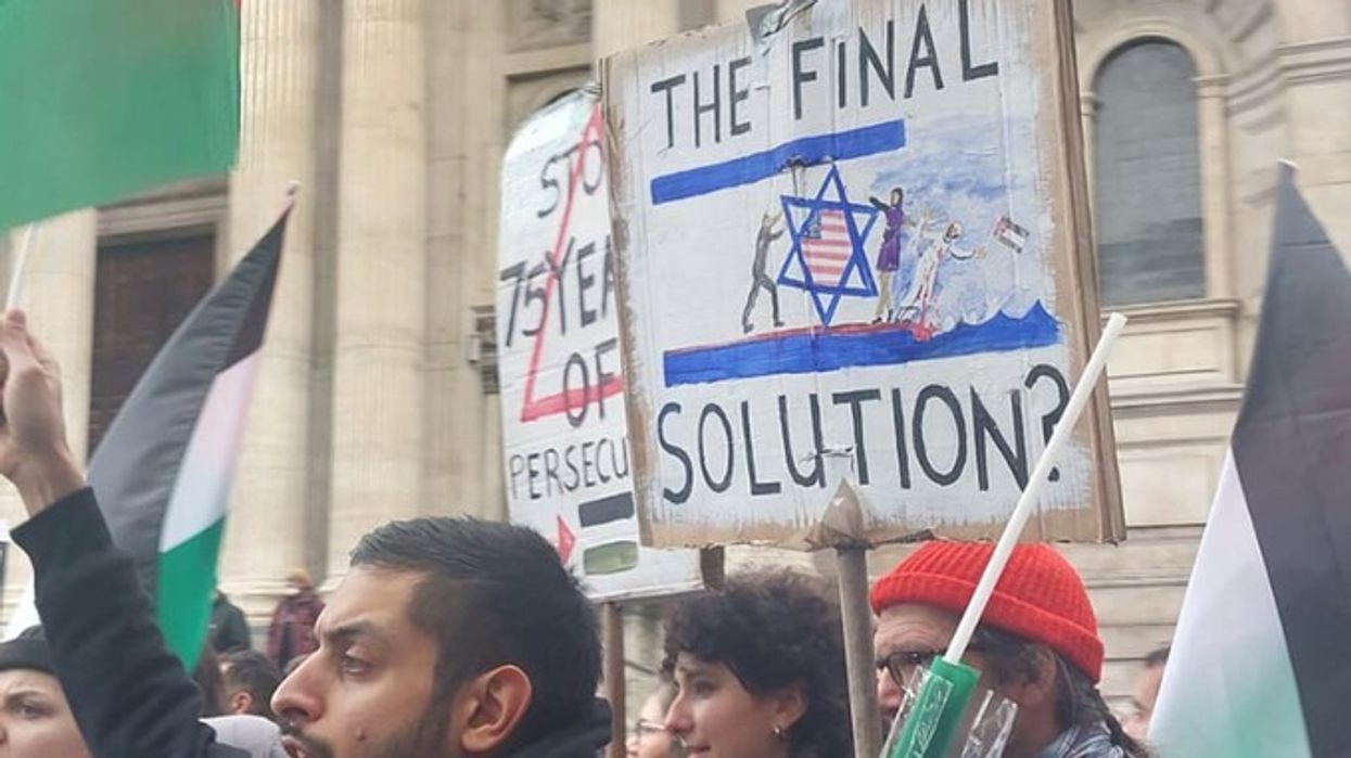 Pro-Palestine protester