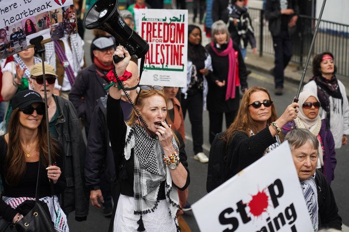 Pro-Palestine protester