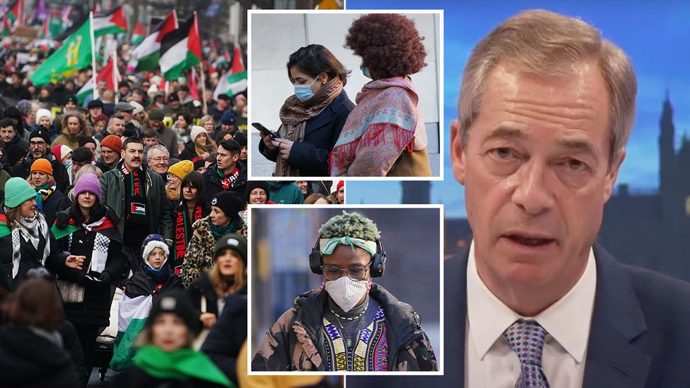 Pro-Palestine protesters and Nigel Farage