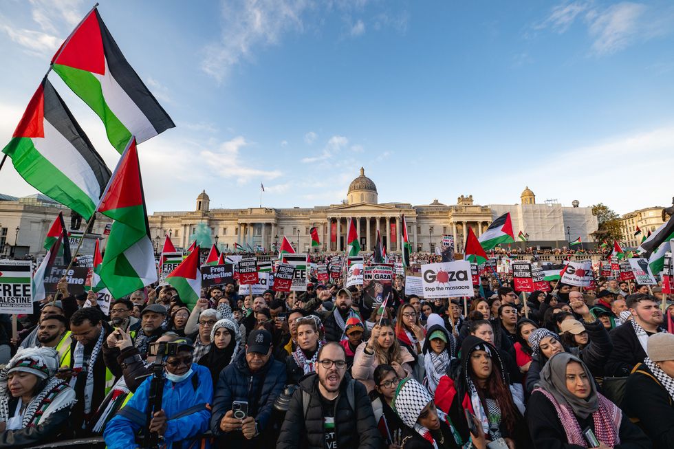 Pro-Palestine protesters in London