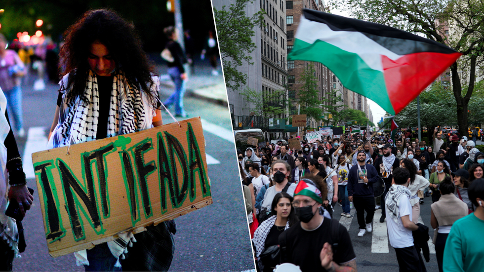 Pro-Palestine protesters in New York City